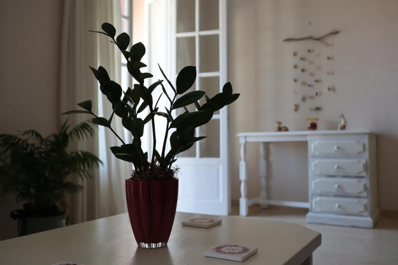 Helena Apartment Argostoli Buitenkant foto